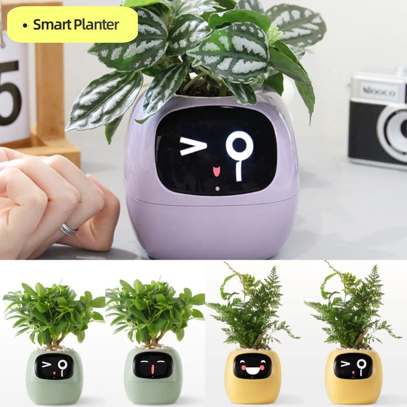 Smart Sprout Pot