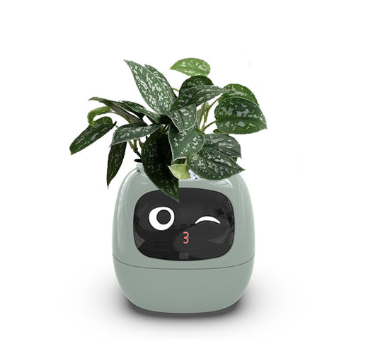 Smart Sprout Pot